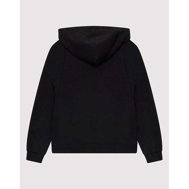 Product ONLY KOGNOOMI LOGO HOOD SWT NOOS base image