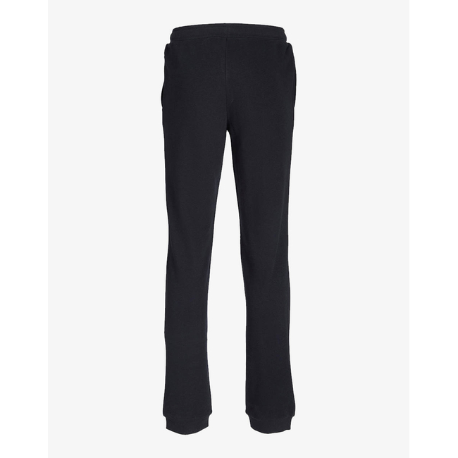 Product JACK&JONES ΠΑΝΤΕΛΟΝΙ ΦΟΡΜΑΣ JPSTLOGO SWEAT PANT 2 COL 22/23 NOOS JNR base image