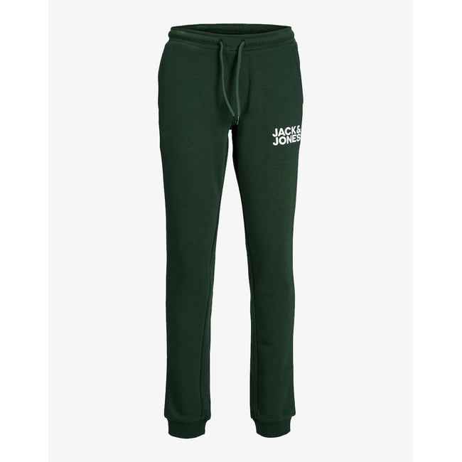Product JACK&JONES JPSTGORDON JJNEWSOFT SWEAT PANT NOOS JNR base image