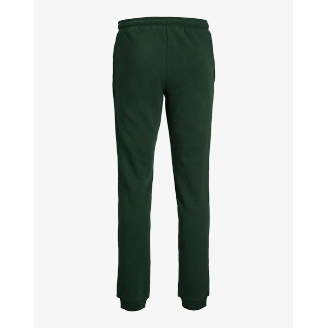 Product JACK&JONES JPSTGORDON JJNEWSOFT SWEAT PANT NOOS JNR base image