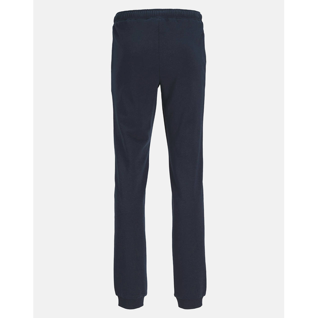 Product JACK&JONES JPSTGORDON JJNEWSOFT SWEAT PANT NOOS JNR base image