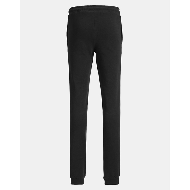 Product JACK&JONES JPSTGORDON JJSWIFT SWEAT PANTS NOOS JNR base image