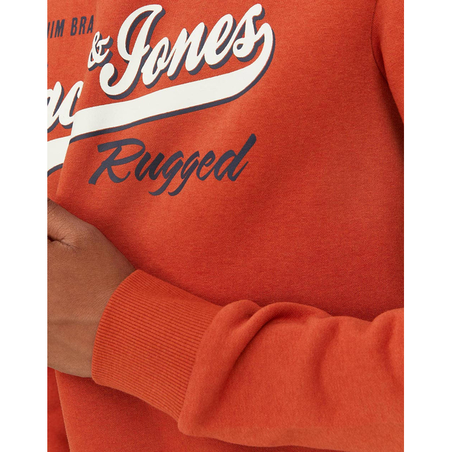 Product JACK&JONES JJELOGO SWEAT HOOD 2 COL 22/23 NOOS JNR base image