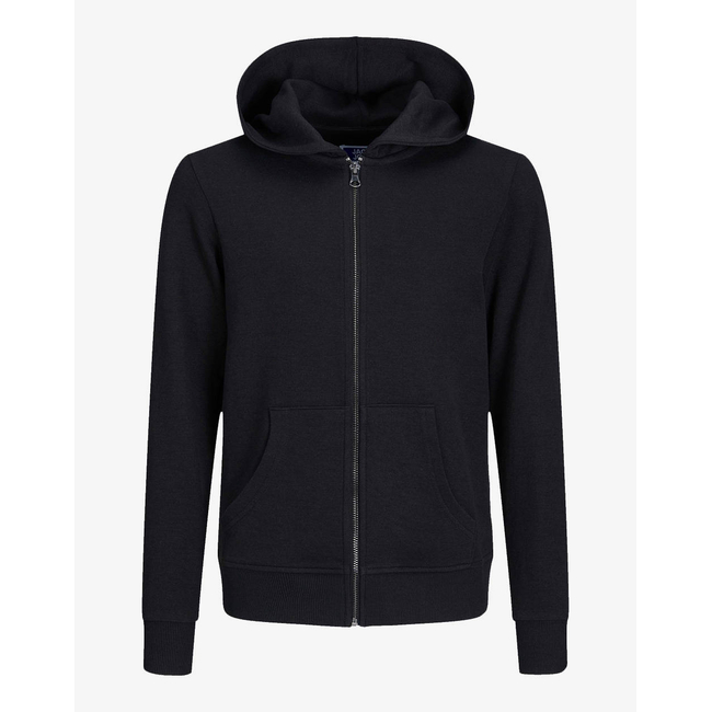 Product JACK&JONES JJEBASIC SWEAT ZIP HOOD NOOS JNR base image