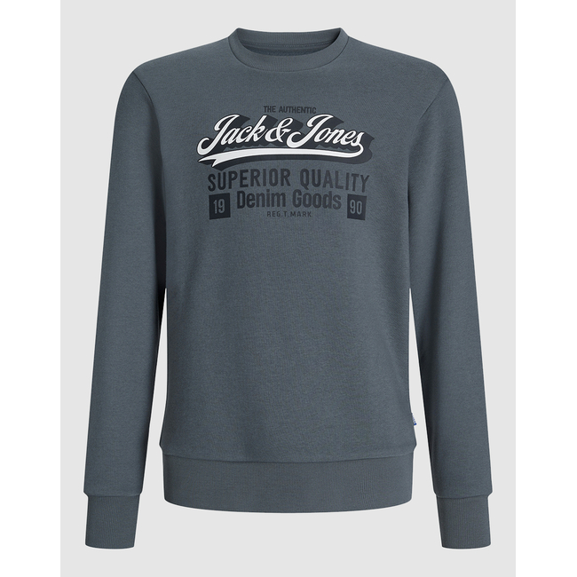 Product JACK&JONES JJELOGO SWEAT CREW 2 COL 25/26 NOOS JNR base image