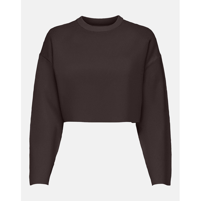 Product ONLY ONLANNY LS CROPPED O-NECK KNT base image