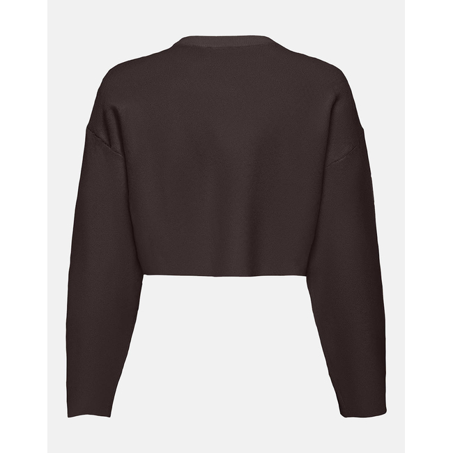 Product ONLY ONLANNY LS CROPPED O-NECK KNT base image