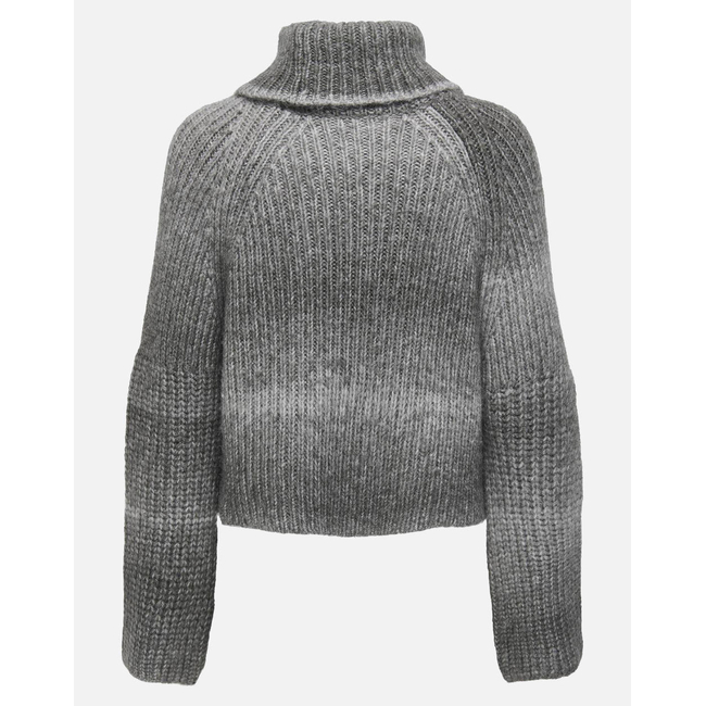 Product ONLY ONLDITTE LS ROLLNECK KNT base image