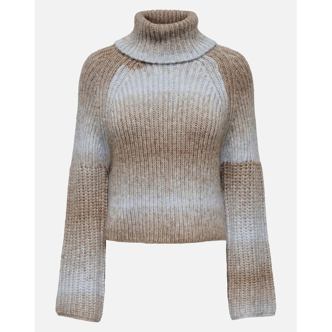 Product ONLY ONLDITTE LS ROLLNECK KNT base image