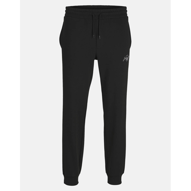 Product JACK&JONES JPSTGORDON JJFERRIS SWEAT PANTS NAF PLS base image