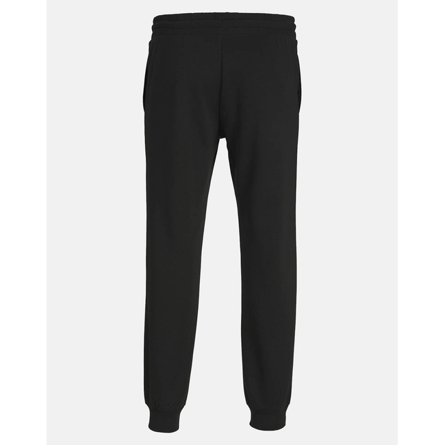 Product JACK&JONES JPSTGORDON JJFERRIS SWEAT PANTS NAF PLS base image