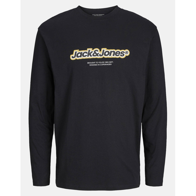 Product JACK&JONES JORVESTERBRO NEWTON BRANDING TEE LS CN base image
