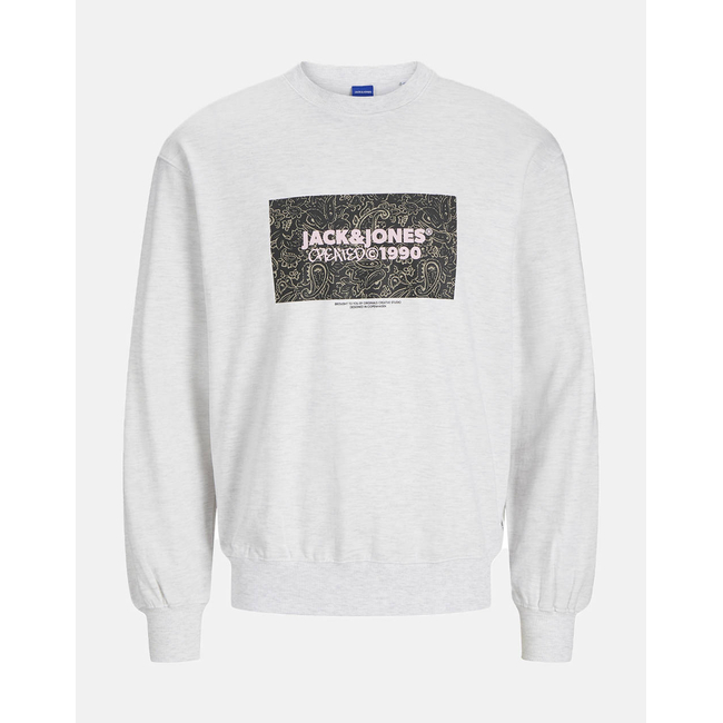 Product JACK&JONES JORBUSHWICK BOX SWEAT CREW NECK base image