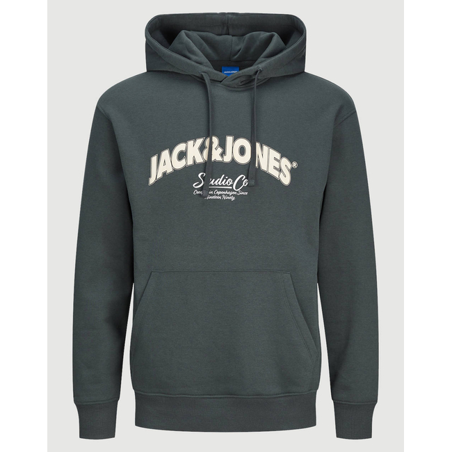 Product JACK&JONES JORBRONX ARCH BIG SWEAT HOOD UB base image