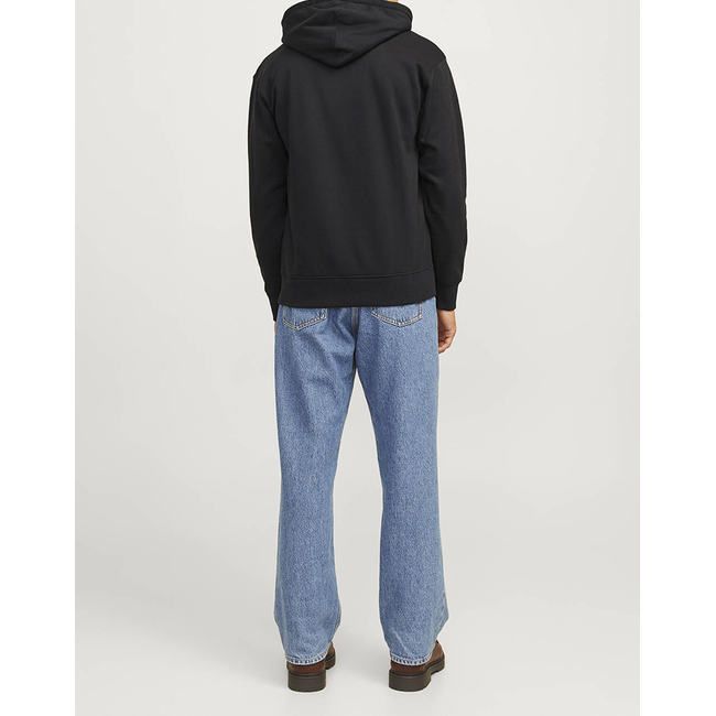 Product JACK&JONES JORPORTLAND BLOCK SWEAT HOOD LN base image