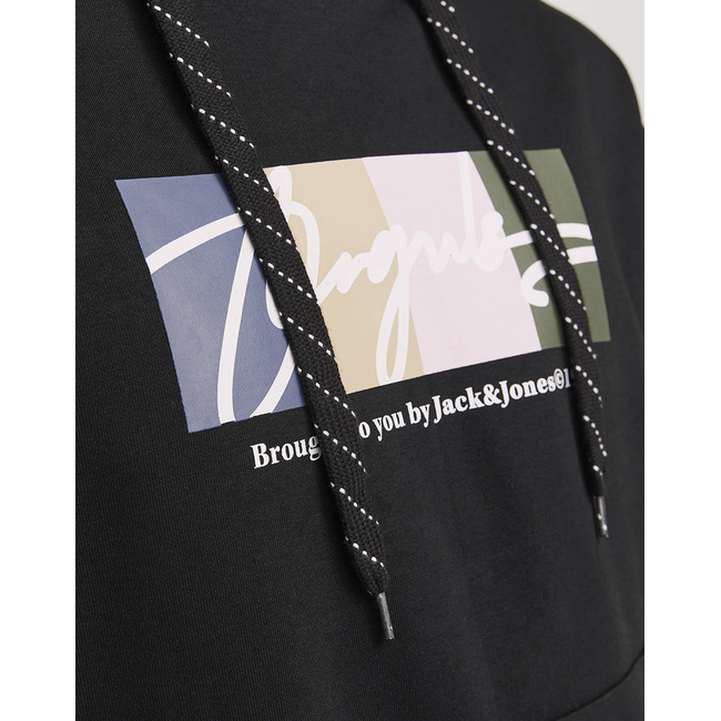 Product JACK&JONES JORPORTLAND BLOCK SWEAT HOOD LN base image