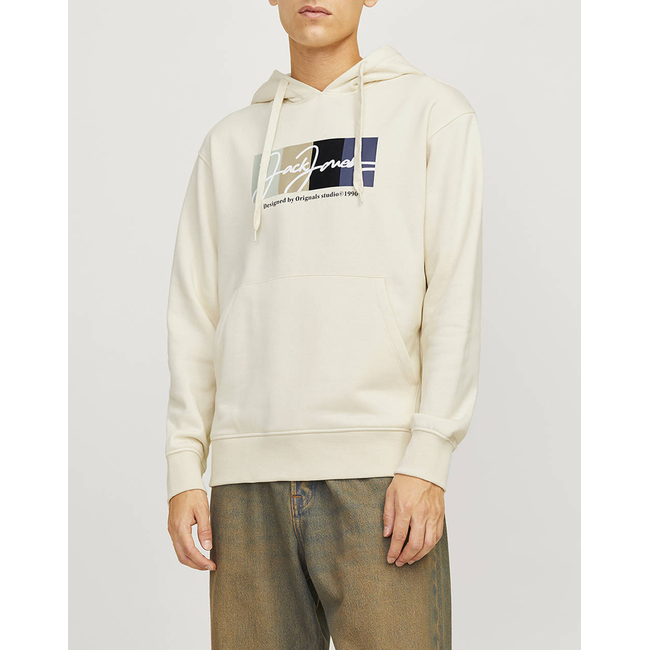 Product JACK&JONES JORPORTLAND BLOCK SWEAT HOOD LN base image
