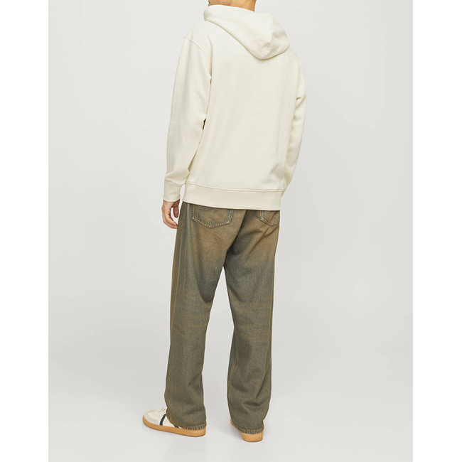 Product JACK&JONES JORPORTLAND BLOCK SWEAT HOOD LN base image
