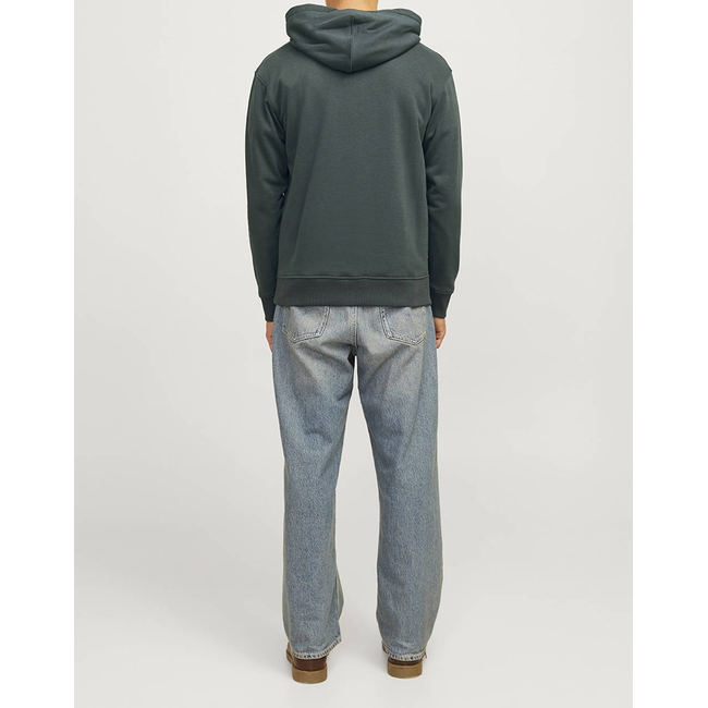 Product JACK&JONES JORPORTLAND BLOCK SWEAT HOOD LN base image
