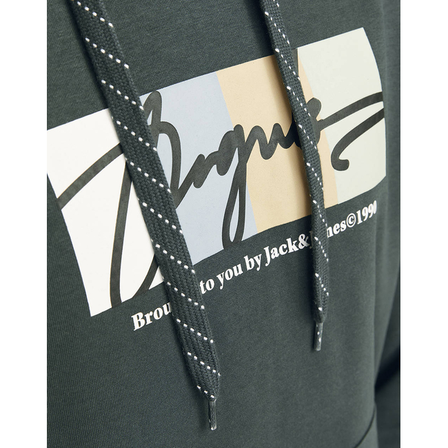 Product JACK&JONES JORPORTLAND BLOCK SWEAT HOOD LN base image