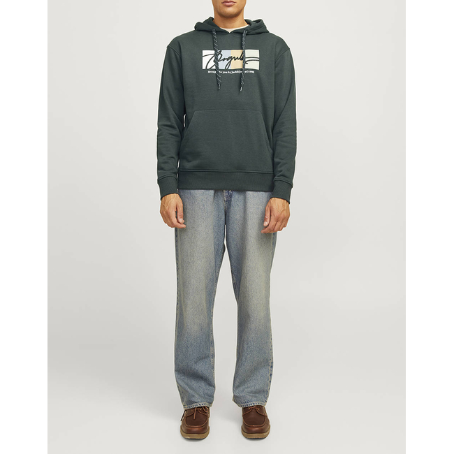 Product JACK&JONES JORPORTLAND BLOCK SWEAT HOOD LN base image