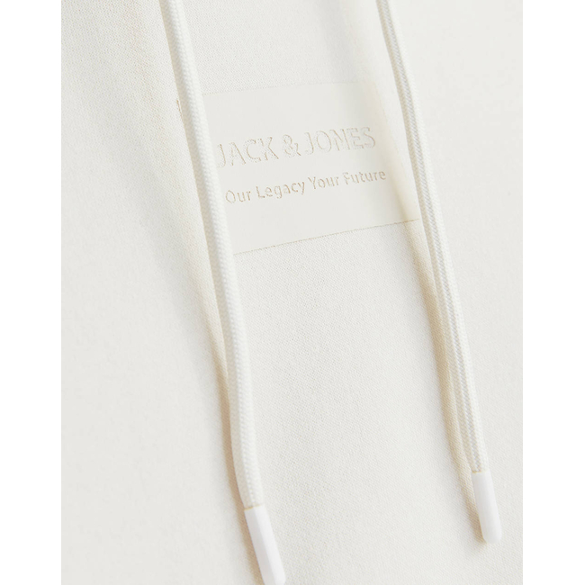 Product JACK&JONES JJHAKKAI SWEAT HOOD base image