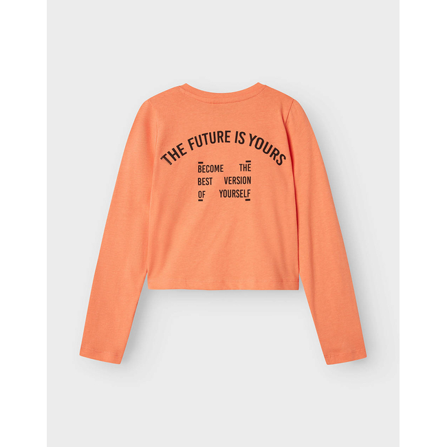 Product NAME IT NKFNOHI LS CROPPED TOP base image