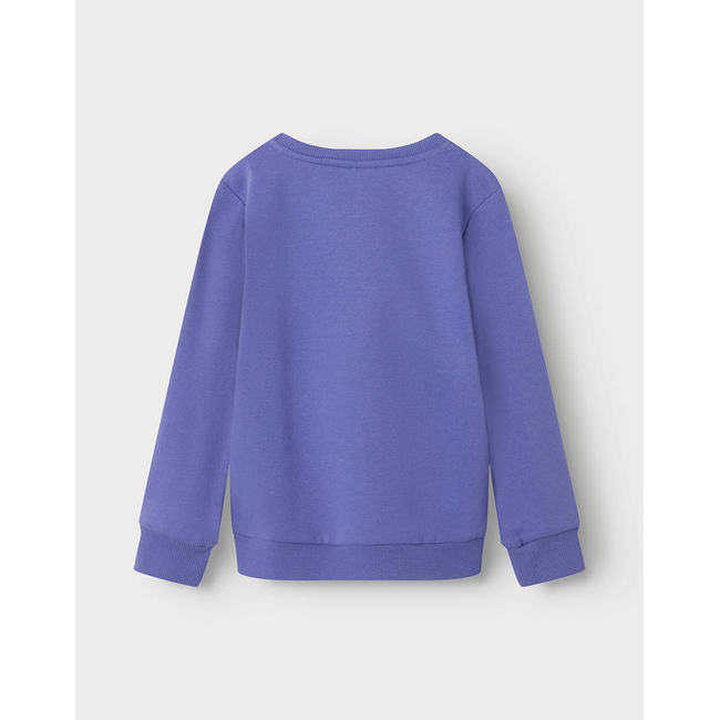 Product NAME IT NMFOMIANA LS BRU SWEAT PB base image