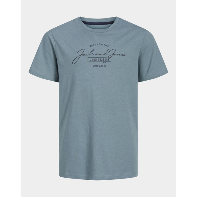 Product JACK&JONES JJFERRIS TEE SS CREW NECK JNR base image