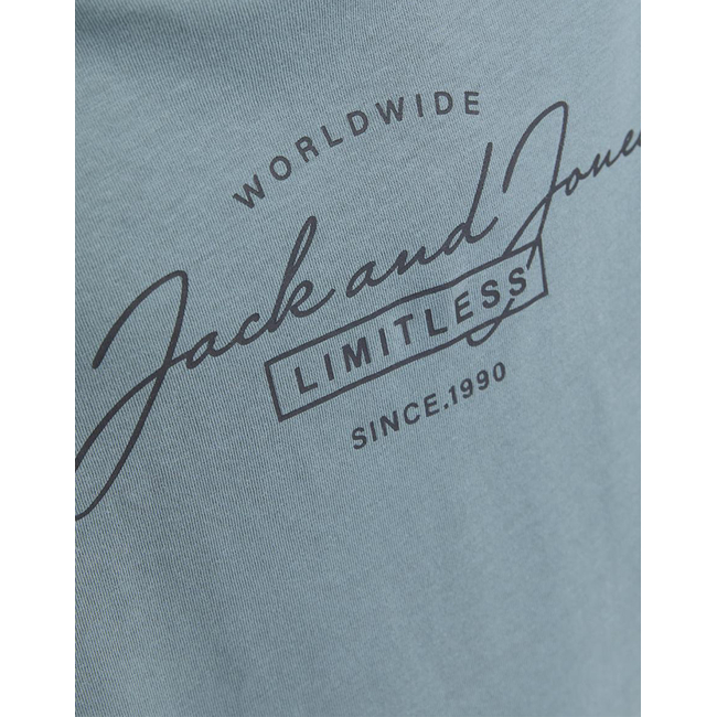 Product JACK&JONES JJFERRIS TEE SS CREW NECK JNR base image