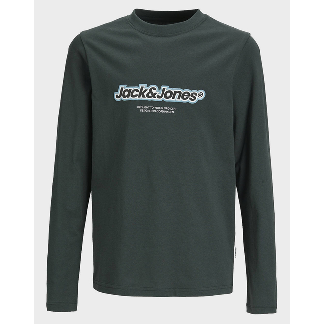 Product JACK&JONES JORVESTERBRO NEWTON BRNDG TEE LS BF JNR base image