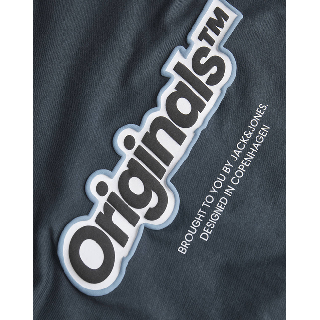 Product JACK&JONES JORVESTERBRO NEWTON BRNDG TEE LS BF JNR base image