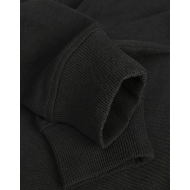 Product JACK&JONES JJGREAT B2S LOGO SWEAT ZIP HOOD JNR base image