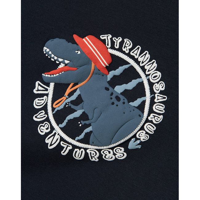 Product NAME IT NMMVUGO LS NREG SWEAT BRU base image