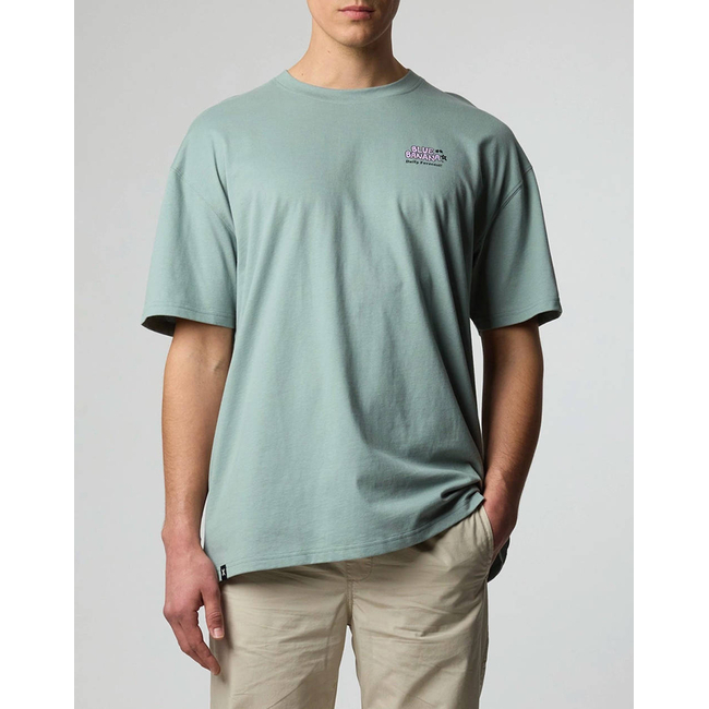 Product BLUE BANANA MINT FORECAST TEE / ΚΟΝΤΟΜΑΝΙΚΟ base image