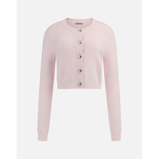 Product GUESS HOLLAND CN LS CARDI SWTR ΠΛΕΚΤΟ ΓΥΝΑΙΚΕΙΟ base image
