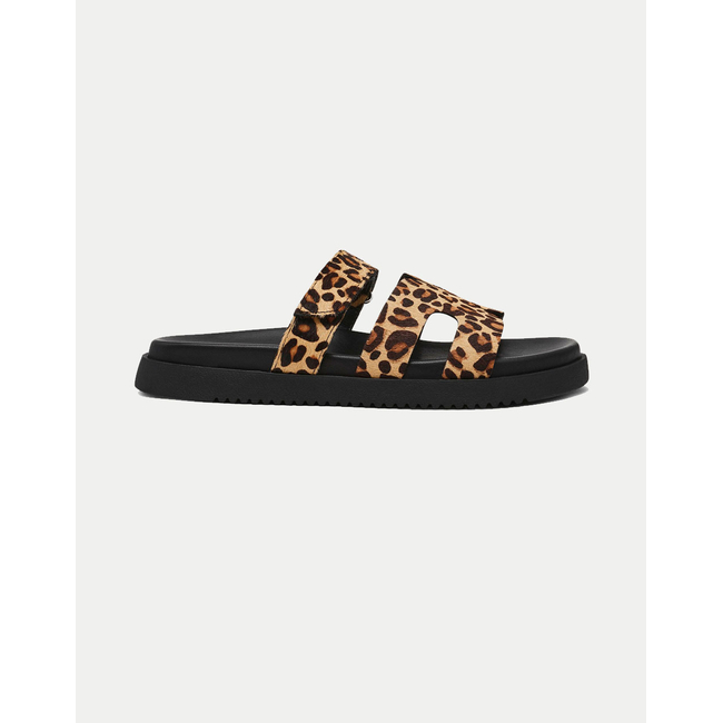 Product STEVE MADDEN MISSILE-LC 03001 WOMEN'S SHOES base image