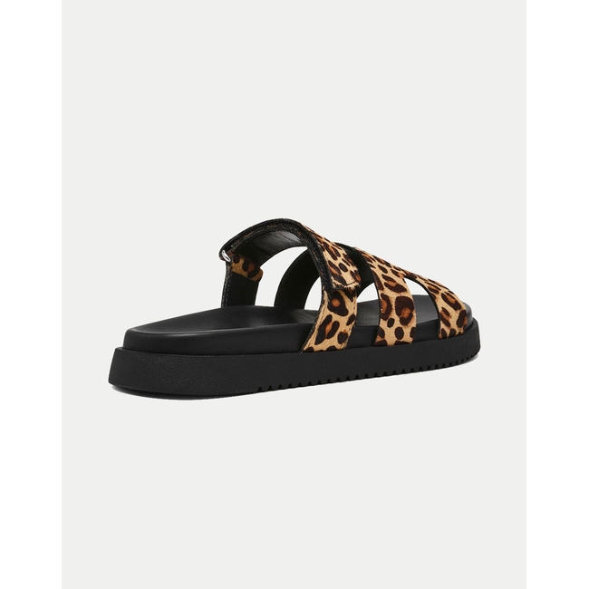 Product STEVE MADDEN MISSILE-LC 03001 WOMEN'S SHOES base image