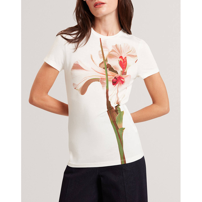 Product TED BAKER MEELIEE Printed Fitted Tee base image