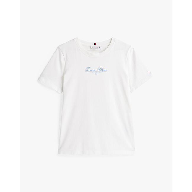Product TOMMY HILFIGER REG SCRIPT C-NK TEE SS base image