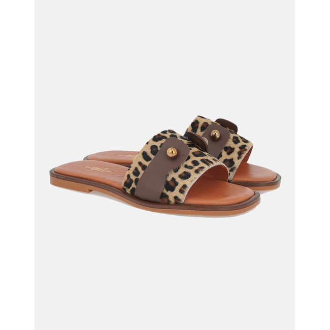 Product JK LONDON FLATS base image