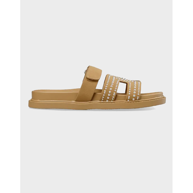 Product ENVIE WOMEN'S SYNTHETIC FLAT SANDALS base image
