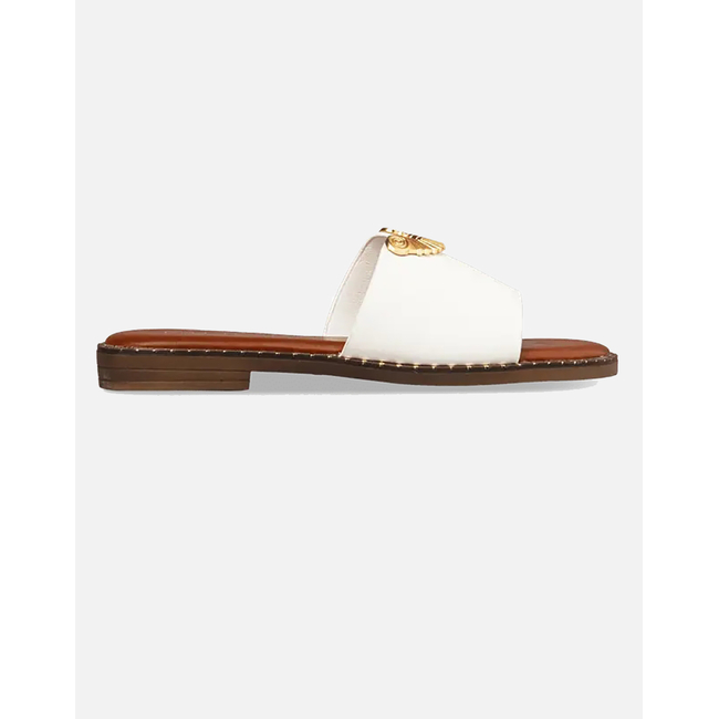 Product ENVIE WOMEN'S SYNTHETIC FLAT SANDALS base image