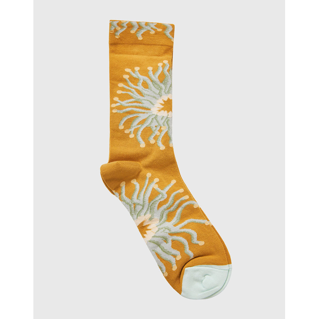 Product FUNKY BUDDHA Γυναικείες Κάλτσες base image