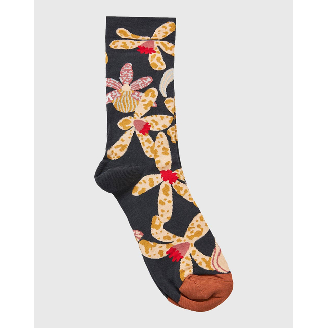 Product FUNKY BUDDHA Women's Socks base image
