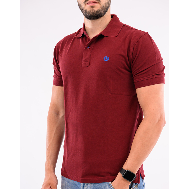 Product ASCOTT POLO ΜΠΛΟΥΖΑΚΙ base image
