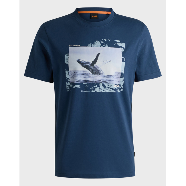 Product BORA Te_Dunetrace 10262528 01 base image