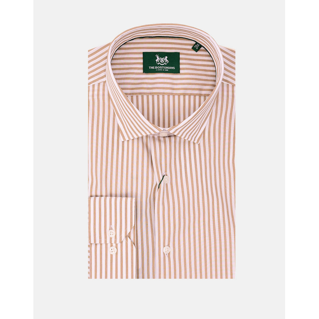 Product THE BOSTONIANS ACORN POPLIN SHIRT CUSTOM FIT Stripe POPLIN Semi-rex Custom FIT base image