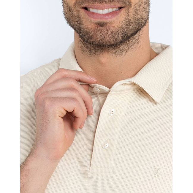 Product THE BOSTONIANS  ΜΠΛΟΥΖΑ POLO PIQUE WAFFLE REGULAR FIT base image