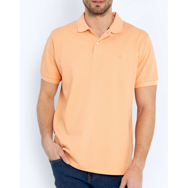 Product THE BOSTONIANS ΜΠΛΟΥΖΑ POLO PIQUE REGULAR FIT base image